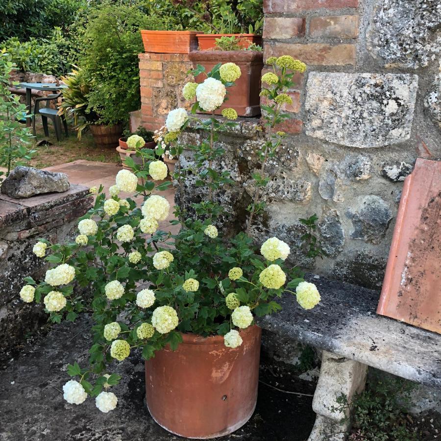 Agriturismo San Giusto Villa Sovicille Bagian luar foto