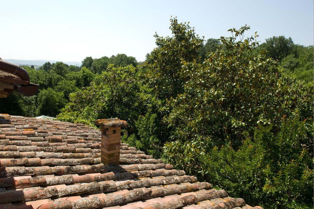 Agriturismo San Giusto Villa Sovicille Bagian luar foto